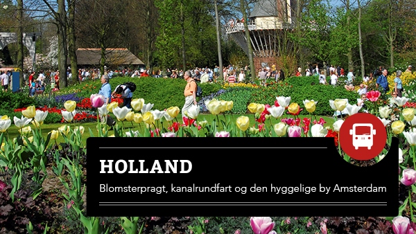 Blomster  Holland tur