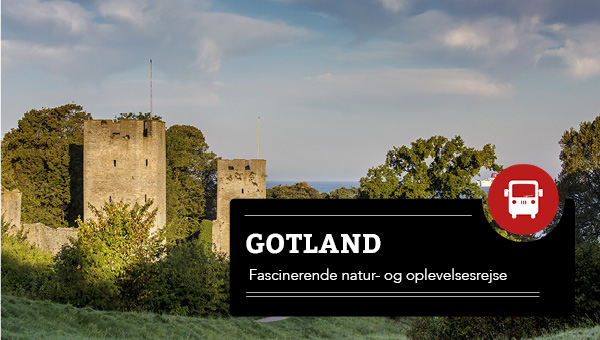 Gotland 