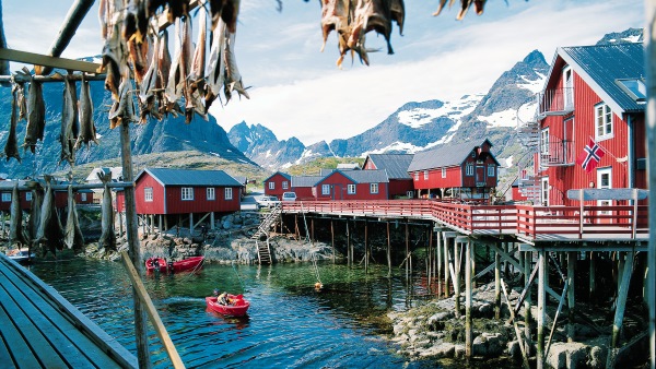 Nordkap Lofoten Norge Tørfisk Panter Rejser
