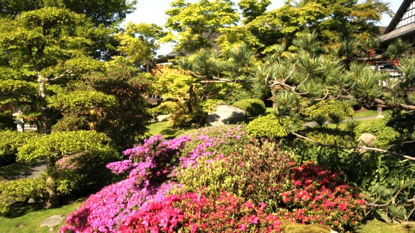 De Japanske Haver
